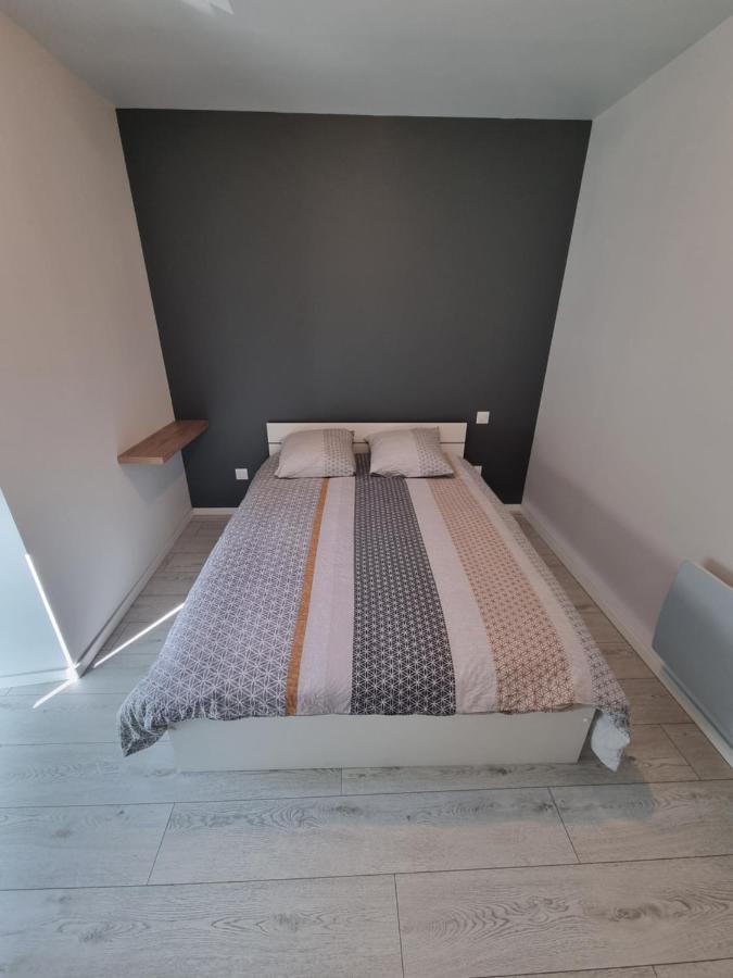 Superbe Logement T3 En Duplex. Saint Gaudens Ngoại thất bức ảnh